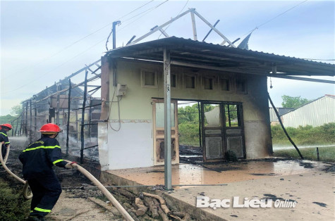TX. Giá Rai: Mẫu thuẫn tiền bạc, em châm lửa đốt nhà chị họ