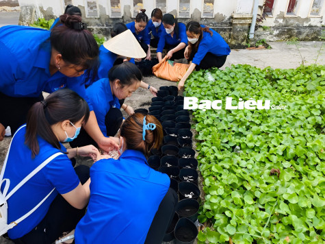 Huyện đoàn Đông Hải: Ra quân Tháng Thanh niên năm 2023