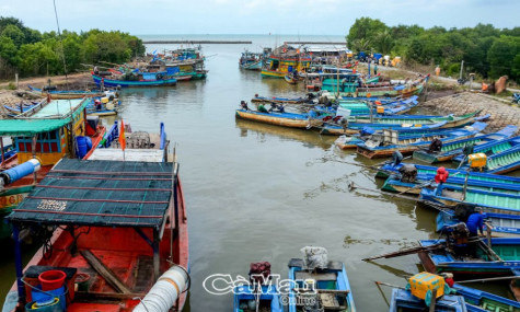 Vì nghề biển của thế hệ sau