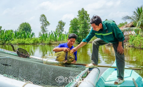 Thanh niên nông thôn trăn trở khởi nghiệp