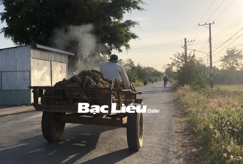 Tái diễn khai thác đất mặt ruộng trái phép