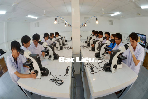 TP. Bạc Liêu: Phát triển nguồn nhân lực chất lượng cao