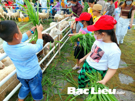 Dành một ngày cho con