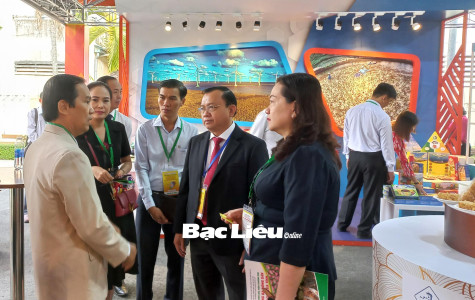 Tổng kết chương trình hợp tác giữa TP. Hồ Chí Minh và 13 tỉnh, thành phố vùng ĐBSCL giai đoạn 2016 - 2022