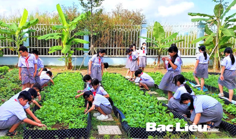 Xanh mướt mắt “Vườn rau cho em”