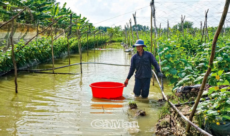 Cần tiếng nói chung cho kinh tế tập thể