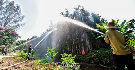 Thực hành phòng cháy, chữa cháy rừng