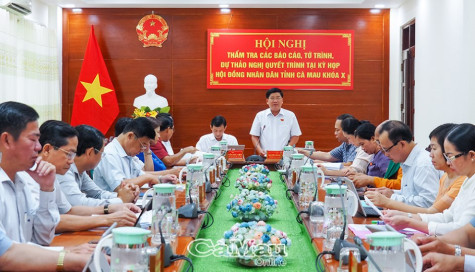 Tiến hành thẩm tra Dự thảo Nghị quyết trình Kỳ họp thứ Chín, HĐND tỉnh khóa X