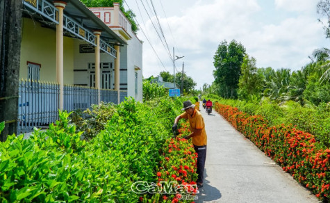 Thới Bình dồn sức hoàn thiện tiêu chí mới