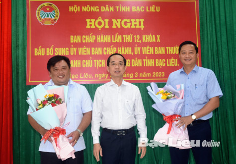 Hội nghị BCH Hội Nông dân tỉnh lần thứ 12 (khóa X): Bầu bổ sung ủy viên BCH, ủy viên Ban Thường vụ, chức danh Chủ tịch Hội