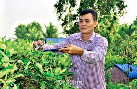 Trưởng ấp “bao đồng”