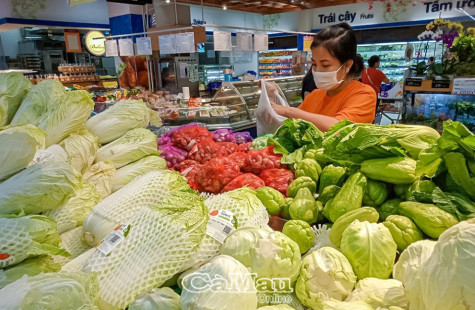Hành động chuyển đổi hệ thống lương thực thực phẩm minh bạch, trách nhiệm và bền vững