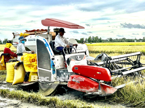 Quý 1/2023: Kinh tế tiếp tục giữ vững tăng trưởng