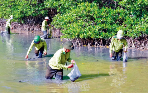 Gỡ khó để quản lý rừng bền vững