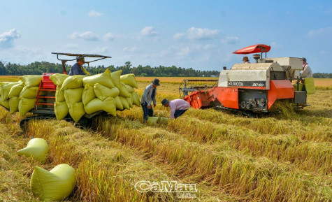 Điều kiện, tiêu chí cho phép chuyển mục đích sử dụng đất
