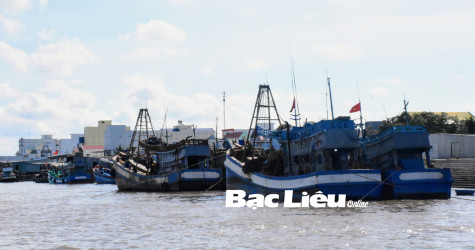 Toàn tỉnh có 421 tàu lắp đặt thiết bị giám sát hành trình