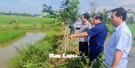 Chuyển đổi diện tích sản xuất kém hiệu quả sang mô hình lúa - tôm
