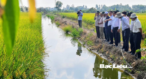 Sở NN&PTNT: Sơ kết công tác quý 1 và triển khai các nhiệm vụ, giải pháp quý 2/2023