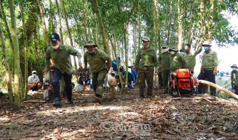 Toàn bộ diện tích rừng tràm và rừng cụm đảo đã khô hạn