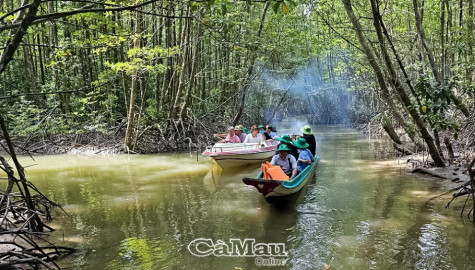 Trải nghiệm hấp dẫn từ du lịch xuyên rừng