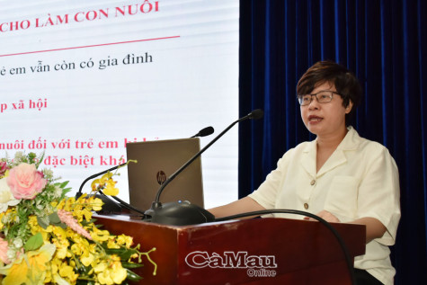 Hướng dẫn nghiệp vụ đăng ký nuôi con nuôi trong nước