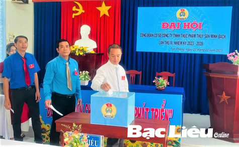 Liên đoàn Lao động TX. Giá Rai: Sẵn sàng cho đại hội điểm Công đoàn cấp trên trực tiếp cơ sở