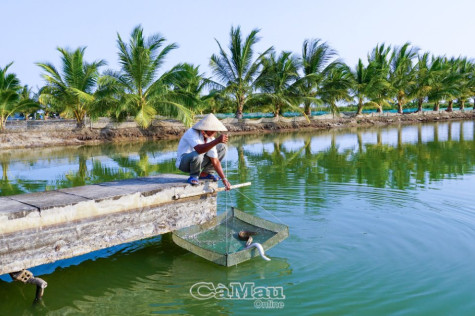 Trở lại Câu lạc bộ Nông dân tỷ phú