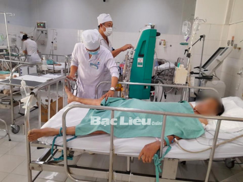Cứu sống bệnh nhân 81 tuổi bị ong vò vẽ đốt trên 70 vết