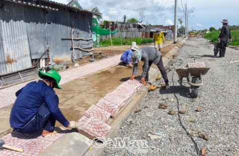 Xử lý nghiêm sai phạm trong quản lý đất đai, xây dựng