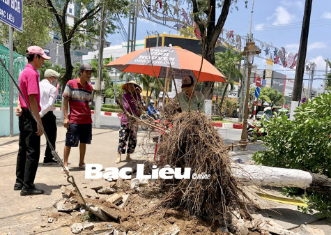 Xe tải tông cây xanh bật gốc