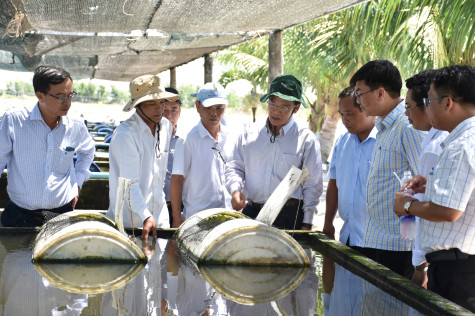 Phát triển kinh tế tuần hoàn: Chủ động thích ứng và phát triển bền vững