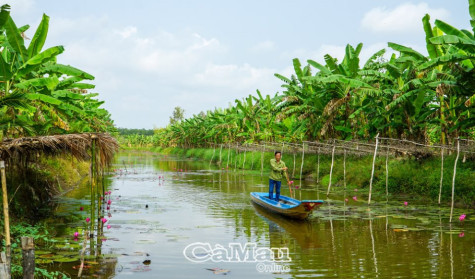 Sinh kế mới cho cư dân rừng tràm