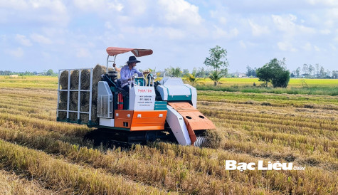 Nông nghiệp Bạc Liêu: Những thành tựu đáng tự hào