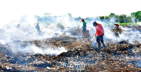 Nghề “bán mặt “ cho rác