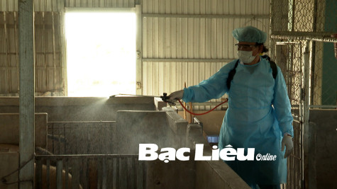 Giá heo hơi bấp bênh, người nuôi gặp khó