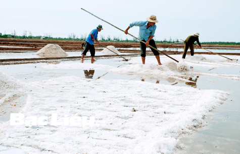 Huyện Đông Hải: Phấn đấu chỉ tiêu bảo hiểm y tế đạt trên 95%
