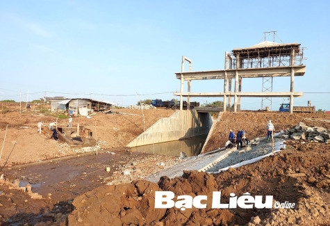 Thanh tra góp phần chấn chỉnh vi phạm của các sở, ngành và địa phương
