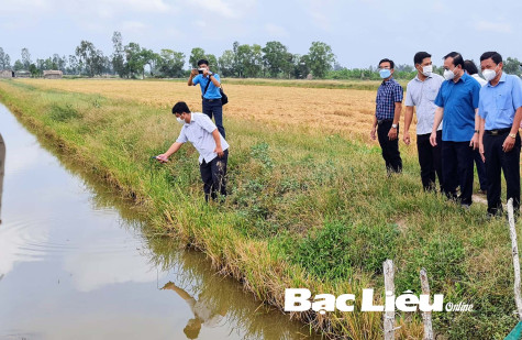 Nuôi tôm quảng canh cải tiến kết hợp ở vùng Bắc Quốc lộ 1A: Cần tháo gỡ khó khăn trong quản lý môi trường