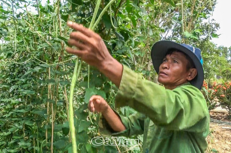 Trợ giúp pháp lý cho đồng bào dân tộc