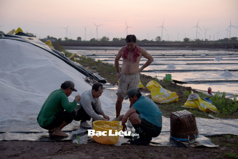 Bữa sáng vội trên đồng muối