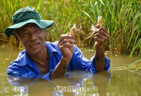 Thúc đẩy tiêu thụ sản phẩm thế mạnh