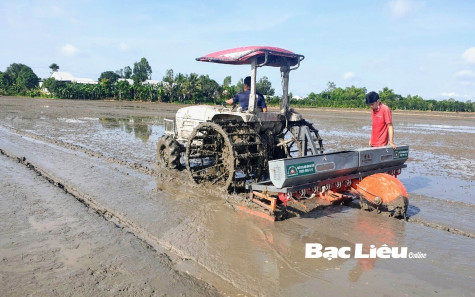 Nông dân bước vào vụ lúa hè thu