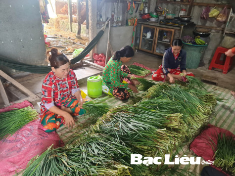 Ổn định cuộc sống, tăng thu nhập nhờ tham gia tổ hợp tác