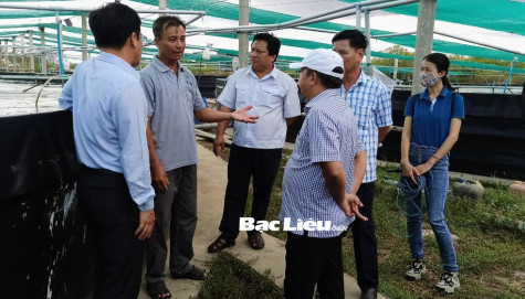 Sở NN&PTNT khảo sát tình hình sản xuất, nuôi trồng thủy sản vùng Nam Quốc lộ 1A