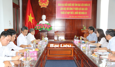 Công ty Điện lực Bạc Liêu báo cáo tình hình cung cấp điện với Đoàn ĐBQH tỉnh