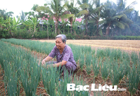 Hội LHPN xã Long Điền Đông A: Tích cực nâng cao đời sống hội viên
