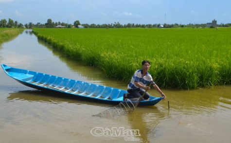 Sản xuất "thuận thiên", thích ứng với biến đổi khí hậu