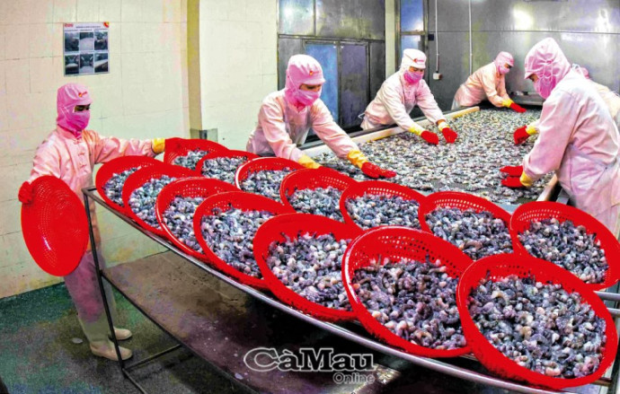 Sử dụng lao động đúng độ tuổi quy định