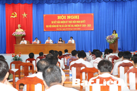 Công tác kiểm tra, giám sát, thi hành kỷ luật trong Đảng tại TX. Giá Rai: Nửa nhiệm kỳ nhìn lại