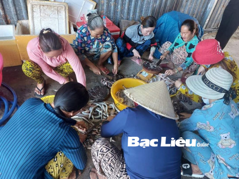 Thu nhập ổn định từ Tổ hợp tác “Sản xuất khô các loại”